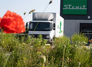 Blume, Pflanze, Umzugswagen, Transporter, Fahrzeug