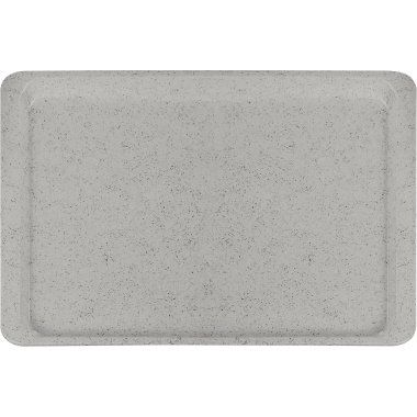 Tablett Easy 32,5x53cm grau 