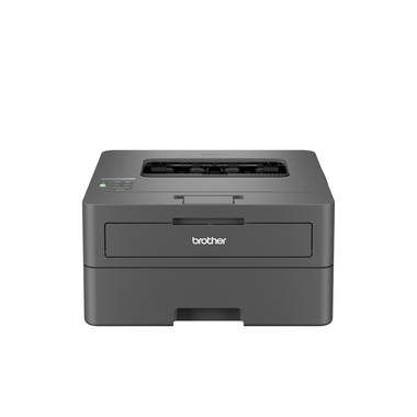 Laser-Drucker Brother HL-L2447DW 
