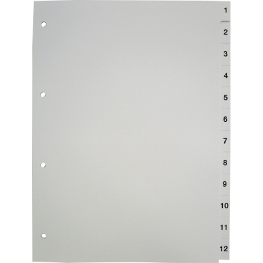 Register A4 1-12 170g weiß 1-12 , Karton