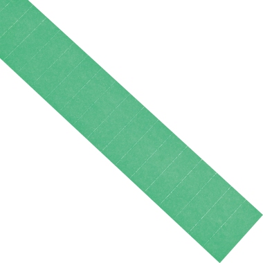 Einsteckschild Magnetoplan 12893 grün 60x15mm
