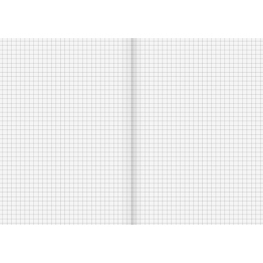 Schulheft Brunnen 104510501 recycling A5 16 Blatt, Lineatur 5, 80gm², kariert