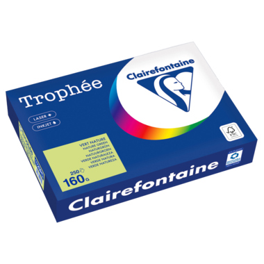 Kopierpapier Clairefontaine 1120C A4 160g naturgrün 250 Blatt