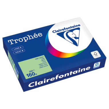 Kopierpapier Clairefontaine 1107C  A4 160g grün 250 Blatt 