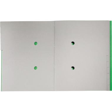 Ordnungsmappe Leitz 3915 A4 PP 12F grün recycle