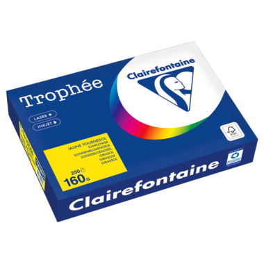 Kopierpapier Clairefontaine 1053C A4 160g ocker 250 Blatt