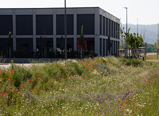 Bürogebäude, Feld, Grünland, Gras, Steigung