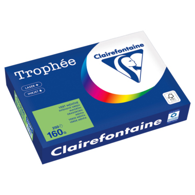 Kopierpapier Clairefontaine 1025C A4 160g maigrün 250 Blatt