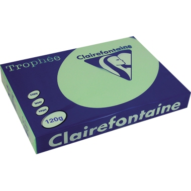 Kopierpapier Clairefontaine 1215C A4 120g grün 250 Blatt