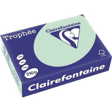 Kopierp. A4 210g hellgrün pastell 2223