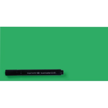 Magicchart Lega 1594 Notes 10x20cm grün Statische Aufladung, Beschreibbar, Beid