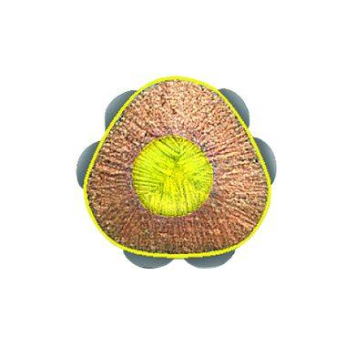 Textmarker Faber-Castell 1148 gelb Trockenmarker Textmarker Faber-Castell 1148 gelb Trockenmarker