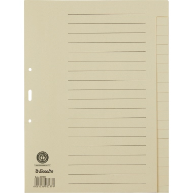 Register Esselte 621006 A4 blanko 20tlg. Papier, Volle Höhe