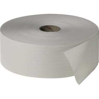 Toilettenp. Maxi 2lagig 6x380m recycling 
