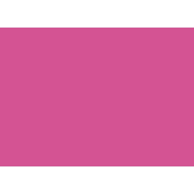 Fotokarton 50x70cm 300g pink 204716264