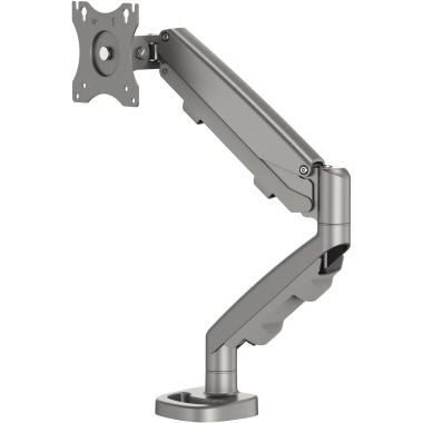 Monitorarm Eppa einzel silber 9683001
