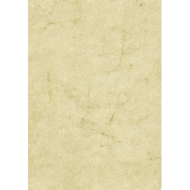 Elefantenhaut A4 110g chamois 