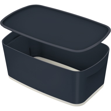 Aufbewahrungsbox Leitz Cosy 5263 grau 