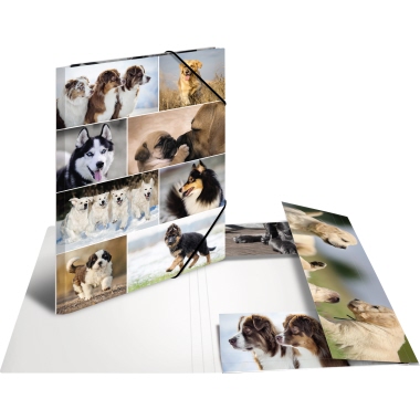 Sammelmappe HERMA 19218 A3 Hunde Pappe