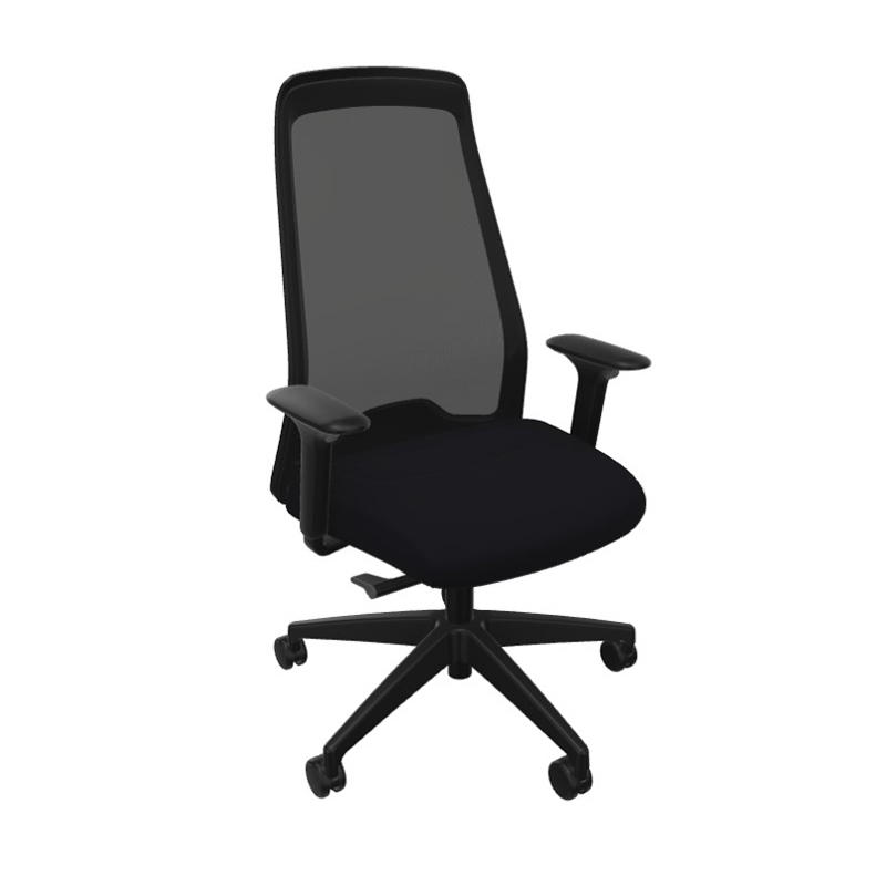 interstuhl EVERYis1 EV257  interstuhl EVERYis1 EV257