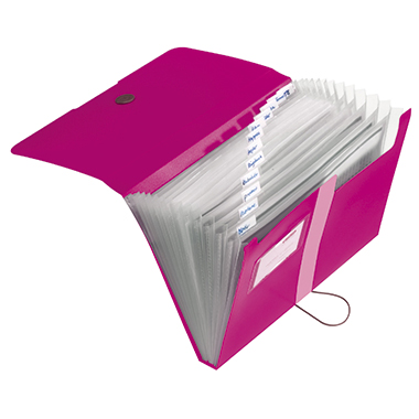 Fächermappe Herlitz 11217114 PP 12F beer E A4 Easy Orga