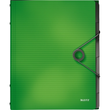 Ordnungsmappe Leitz 4569 Solid A4 PP grü 