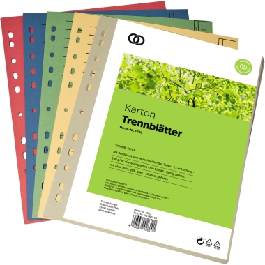 Trennblätter Soe 1530 230g sortiert je 10 x rot, blau, grün, gelb, grau